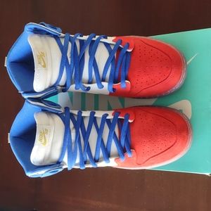 Nike Dunk High Premium SB size 13